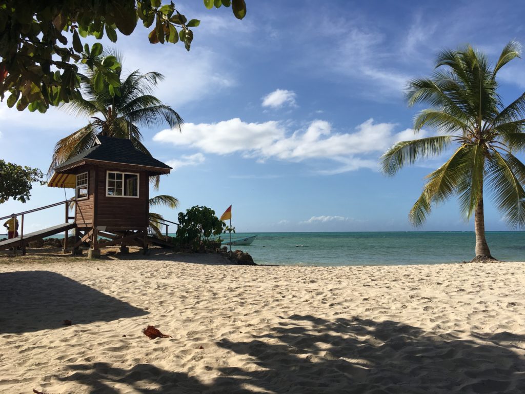 pigeon point, beach, nearby beaches, tobago, holiday, staycation