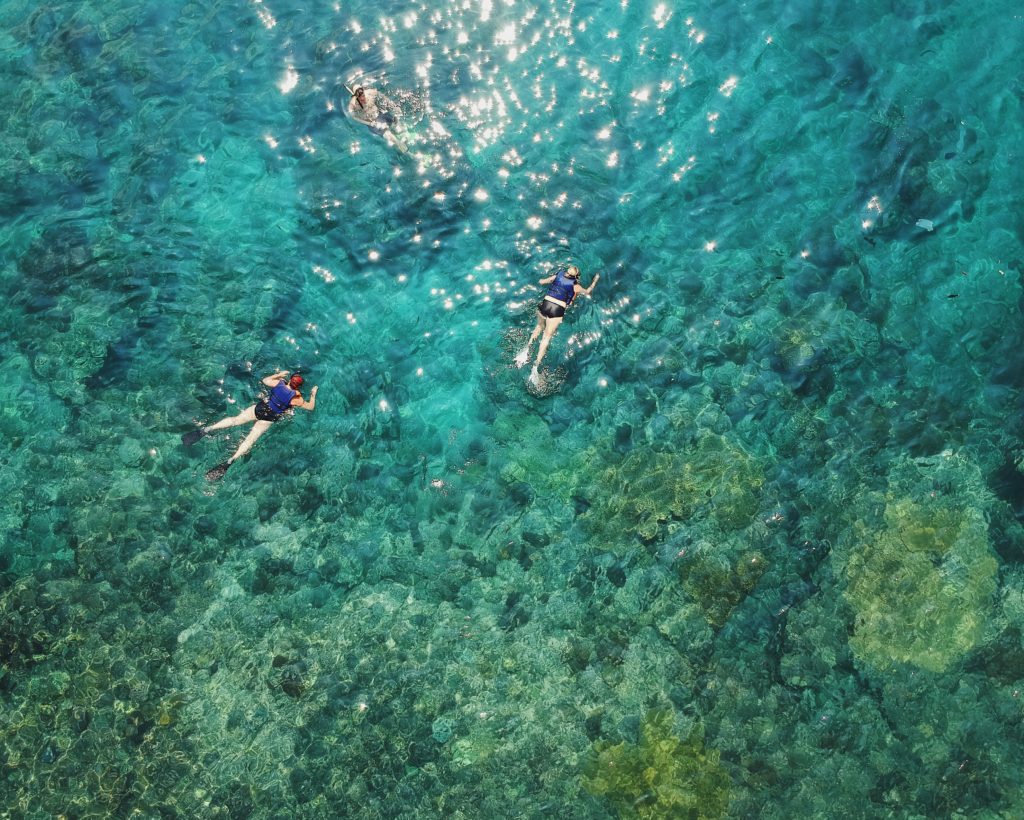 dive, reef, reefs,snorkel